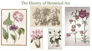 History of Botanical Art [upl. by Ramad]