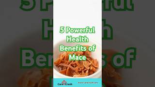 5 Powerful Health Benefits of Mace  carecrash [upl. by Lerual139]