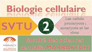 biologie cellulaire partie 2 la cellule eucaryote et la cellule procaryote et les virus [upl. by Tapes]