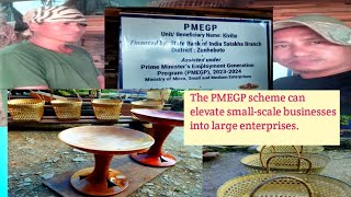 Is the PMEGP SCHEMES really beneficial [upl. by Nwahsyt]