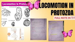 Locomotion in Protozoa  full notes in hindi  msc zoology notes in hindi [upl. by Watson]