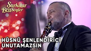 Unutamazsın  Hüsnü Şenlendirici  Şarkılar Bizi Söyler  Performans [upl. by Malcom613]