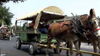 Tellico Plains 2011 July 4 Wagon Train Paradem4v [upl. by Skoorb273]