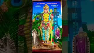 murugan song watsappstatus tamil [upl. by Uuge169]