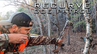 Traditional Bow Hunt Whitetail w a RECURVE [upl. by Shinberg]