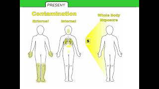 P4 L4 Irradiation and contamination TMC [upl. by Ayatnwahs]