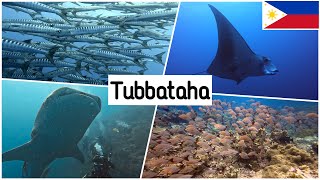 Tubbataha Philippines 2023 4K  Diving [upl. by Asyral]