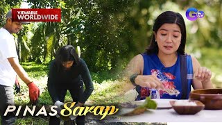 Puso ng saging iluluto sa gata na kakaiba ang kulay  Pinas Sarap [upl. by Sylvie]