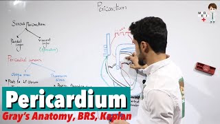 Pericardium Anatomy 50 [upl. by Anu]