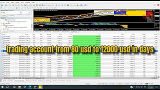 Software trading  Demeter bot to grow trading account from 80 usd to 12000 usd in days [upl. by Eirok196]