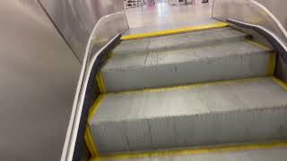 Montgomery Escalators at JCPenney at Westshore Plaza  Tampa FL [upl. by Nitsew545]