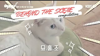 Meow the secret boy behind the scene BTS compilation [upl. by Niledam]