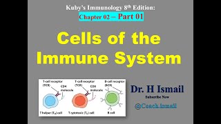 Cells of the Immune System  Immunology Chapter 02  Part 01  Innate and Adoptive Cells [upl. by Adriaens]