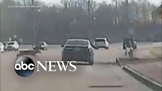 Dash camera captures the moment deer jumped over car on Tennessee highway [upl. by Ron108]