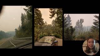 Case Study Project Willamette Valley National Forest [upl. by Enirhtac]