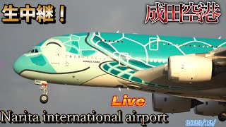 【Narita International Airport Live 】成田空港 生中継📸✈️💨】【Gibson Narita】 [upl. by Mogerly]