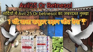 सर्दियों में Avil 25 Or betnesol का जबरदस्त नुस्खा कबूतर को उड़ाने के लिये पानी Kabootar ka khel pani [upl. by Ilam]