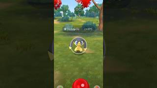 See how I Catch a Helioptile in Pokemon go pokemon pokemongo [upl. by Ailelc300]