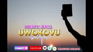 PRINCE AINEA  UWOKOVU OFFICIAL VISUALIZER [upl. by Attenna881]