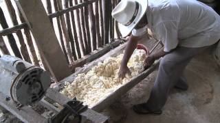 Manioc Flour [upl. by Tifanie647]