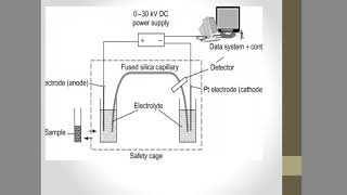 Electro osmotic flow [upl. by Iggem]