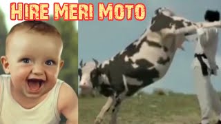 Haye Re Meri Moto Cow Version  Hi Re Meri Motto  Ajay Hooda  Diler Kharkiya [upl. by Herzog]