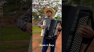 Solos De Vaneirao acordeon sanfona bailão nillorochasanfoneiro [upl. by Auqinimod174]