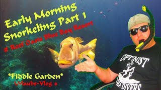 SNORKELING EGYPT PART 1  Reef Oasis Blue Bay Resort 2017 GoPro Hero 4 [upl. by Aehsrop]