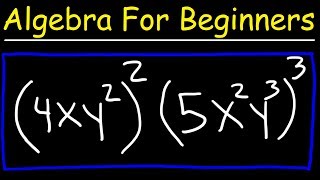 Algebraic Expressions Basics [upl. by Adnolahs]