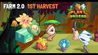 How to Harvest Farm 20  First Harvest  PVU token  Plant vs Undead [upl. by Anekam3]