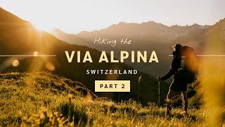 Solo hiking and wildcamping in Switzerland  Via Alpina  Sargans to Engelberg  130 KM  5 Days [upl. by Justin]