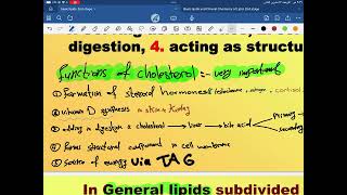 Biochemistry Lipid Metabolism second year part 2 [upl. by Siana]