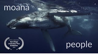 Moana People  Whales become People A revolutionary view on Nature Voice over by Florian Ulrich [upl. by Yelnet]