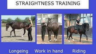 Straightness Training Webinar  Part II  Marijke de Jong [upl. by Anitac]