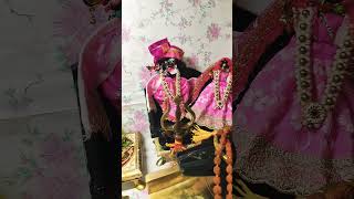 Radha Rani Shringar  Daily Pooja Routine Vigraha sewa kaise karein Yugal Sarkar sewa niyam [upl. by Airres785]