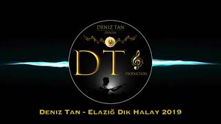 Deniz Tan  Elazığ Dik Halay 2019  Official Audio [upl. by Brader]