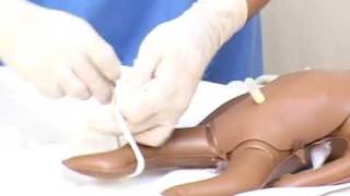 Basic neonatal resuscitation initial steps hindi [upl. by Odetta317]