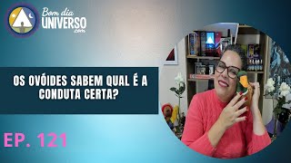 OS OVÓIDES SABEM QUAL É A CONDUTA CERTA [upl. by Peednus]