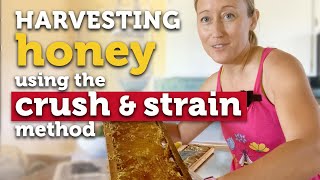 EXTRACTING HONEY WOUT AN EXTRACTOR Crush amp Strain Method  Cheap amp Easy Way to Harvest Honey [upl. by Trinatte214]