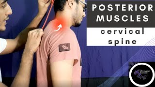 POSTERIOR CERVICAL SPINE MUSCLESBIOMECHANICS OF SPINEPhysiotherapy Tutorial [upl. by Aihsiek]