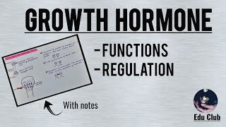 Growth Hormone  Functions  Regulation  Somatomedins  Endocrine Physiology [upl. by Petras]