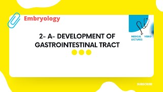 Development of Gastrointestinal tract [upl. by Allevon]