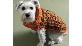 Crochet Dog Jackets Set Of Picture Collection And Ideas  Dog Accessories amp Products [upl. by Ennayk]