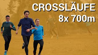 Crossläufe I Verbesserung der Ausdauer für 10km Wettkampf Projekt Sub 30min [upl. by Fenton]