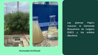 Video Toxicología Ambiental Practica en Tunja [upl. by Eceela76]