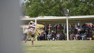 Fancy Shawl  2016 Prairie Band Potawatomi Pow Wow [upl. by Nylek]