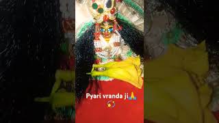 barsan song mathuri vrindavn tranding virandavan [upl. by Sonni678]