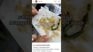 Maggots found in Chinese soup restaurant [upl. by Marius]