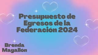 Presupuesto de Egresos de la Federación 2024 [upl. by Jeralee14]