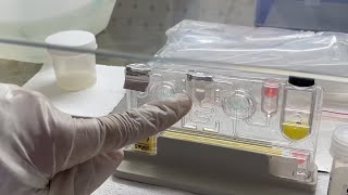 How to perform a RTPCR test  Actual Demonstration step by step of a Sputum sample  Explained easy [upl. by Benildis423]